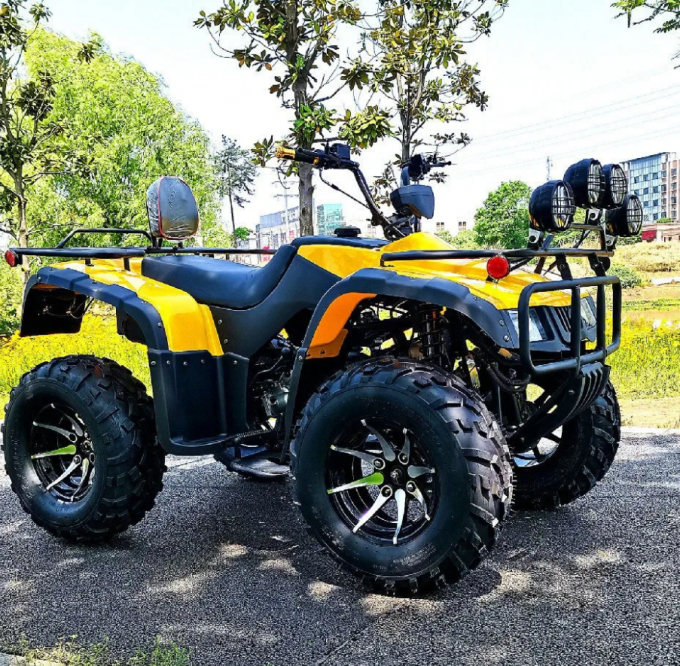 250cc Four-Wheel Drive ATV Longding Quad ATV Farmer Quad Bike