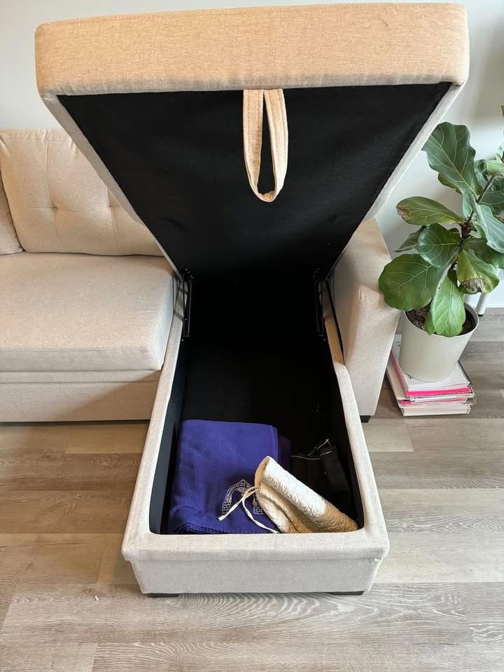 Devion Furniture Contemporary Reversible Sectional Sleeper Sectional Sofa with S